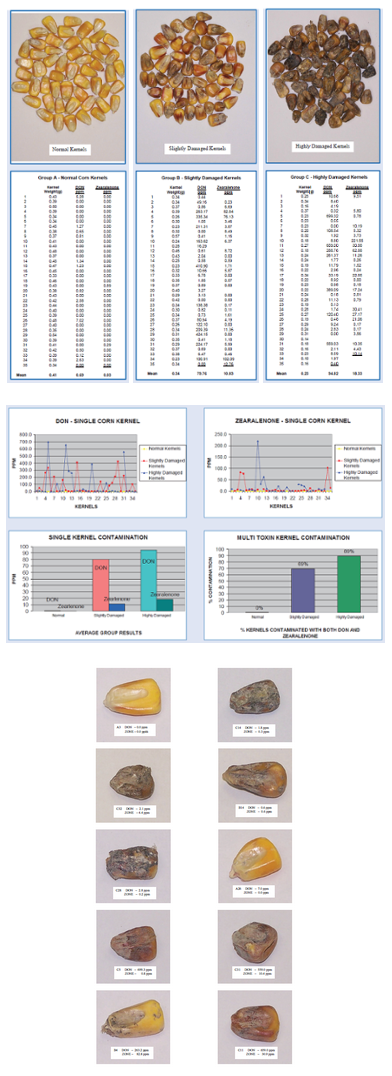 DON and ZONE in Single Kernels.png